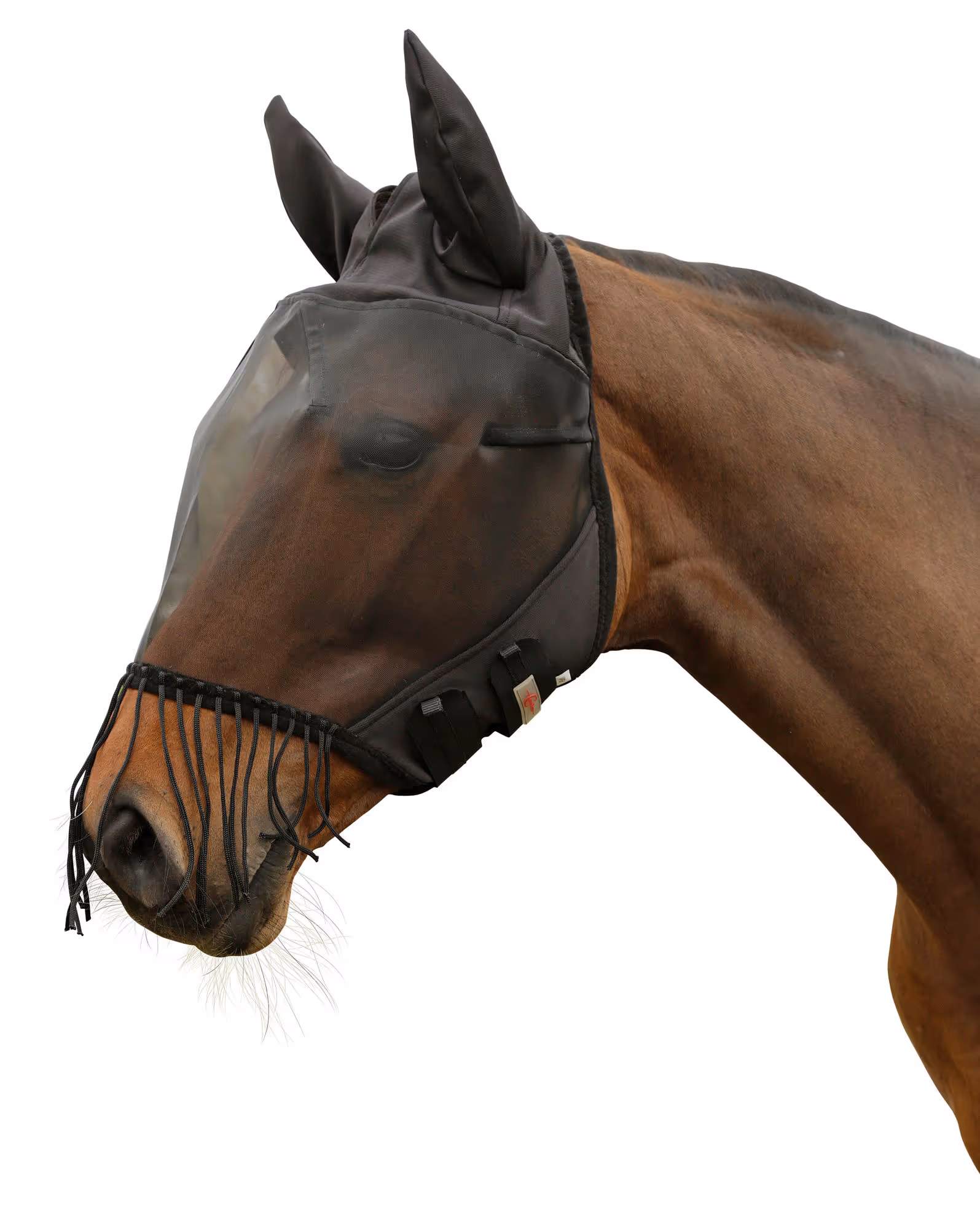 Masque anti-mouche oreilles et nasaux, pony