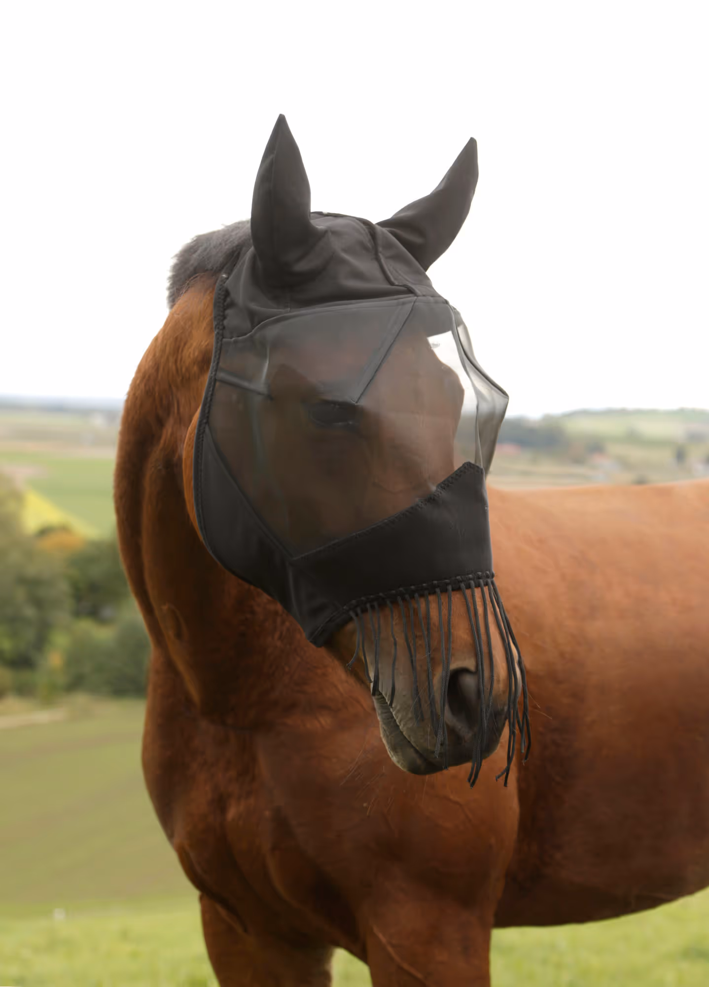 Masque anti-mouche oreilles et nasaux, pony