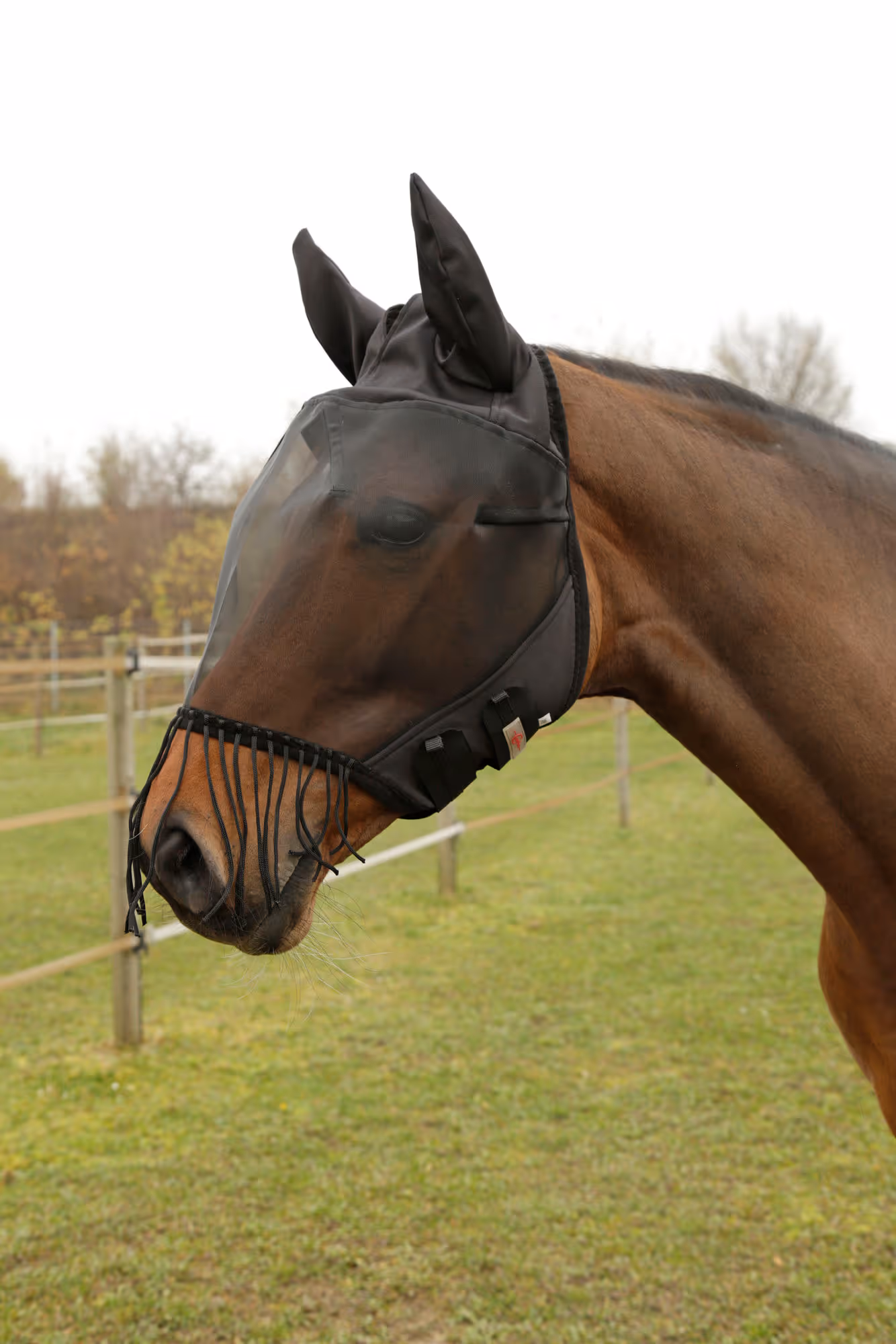 Masque anti-mouche oreilles et nasaux, pony