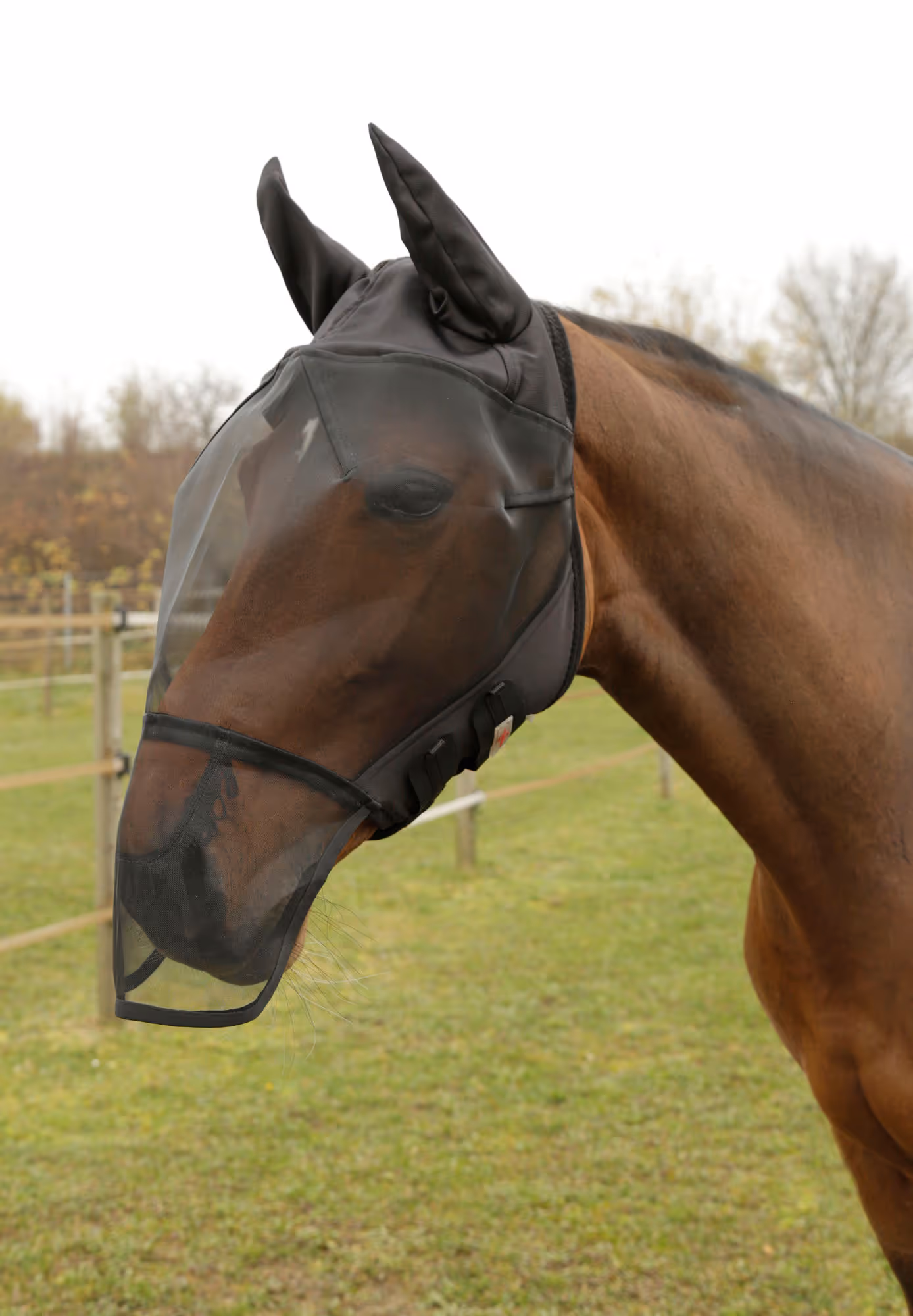 Masque anti-mouche oreilles et nasaux, pony