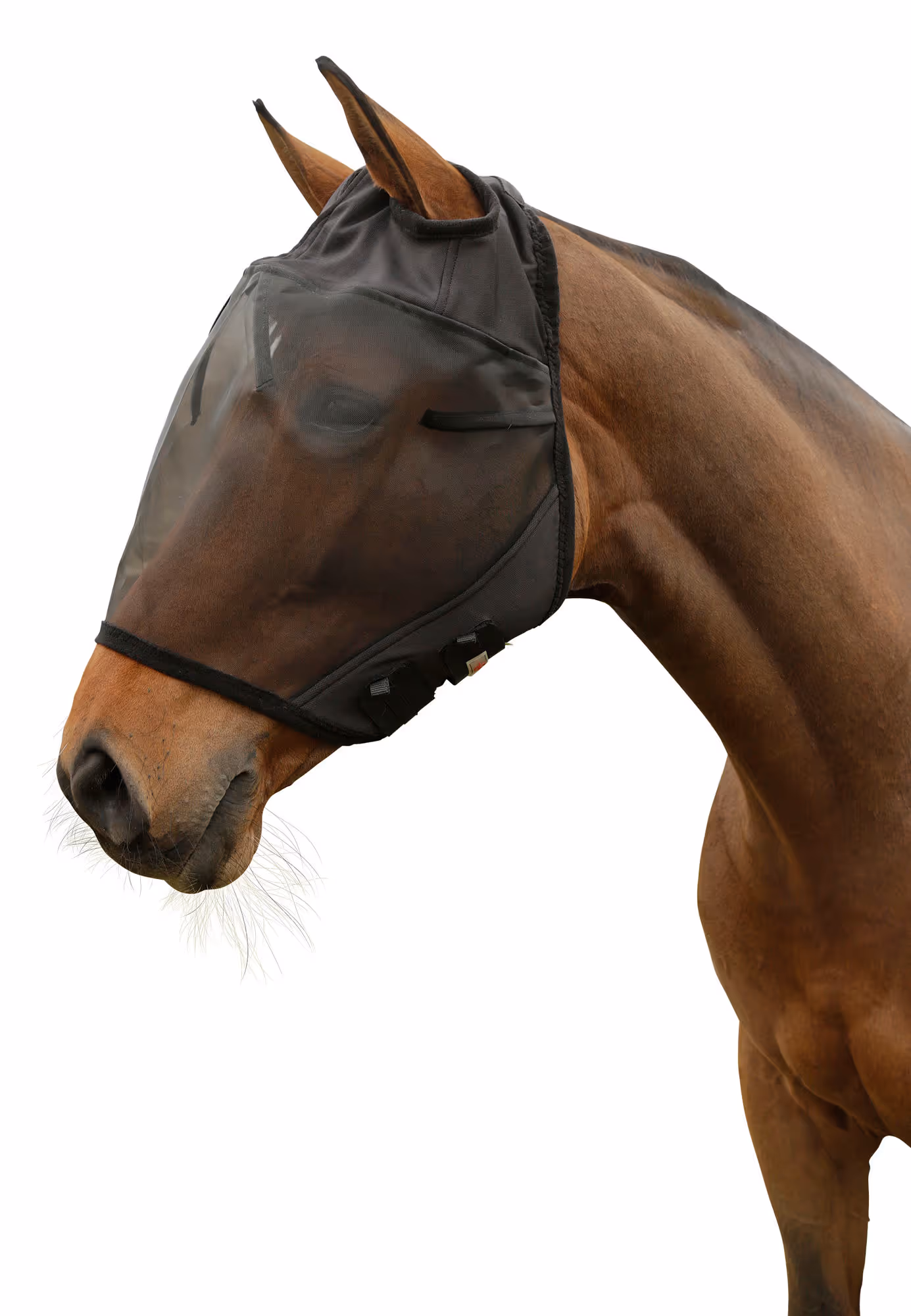 Masque anti-mouche pony