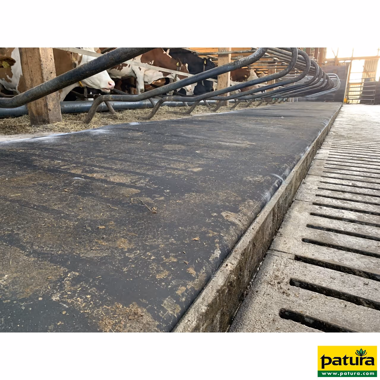 Matelas à vaches en latex Profondeur de la logette 1,80 m , au mètre, livré en rouleau