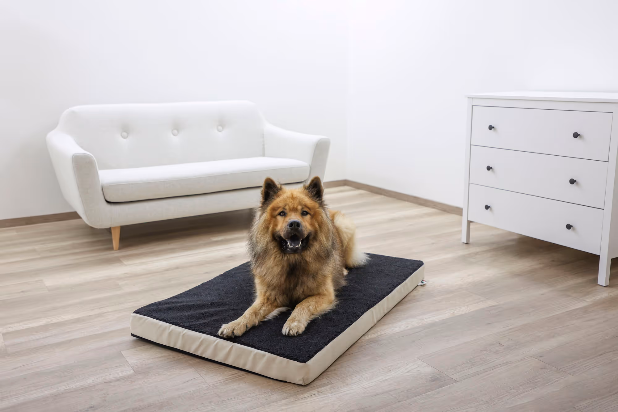 Matelas Memory-Foam beige/anthracite, 100X60cm