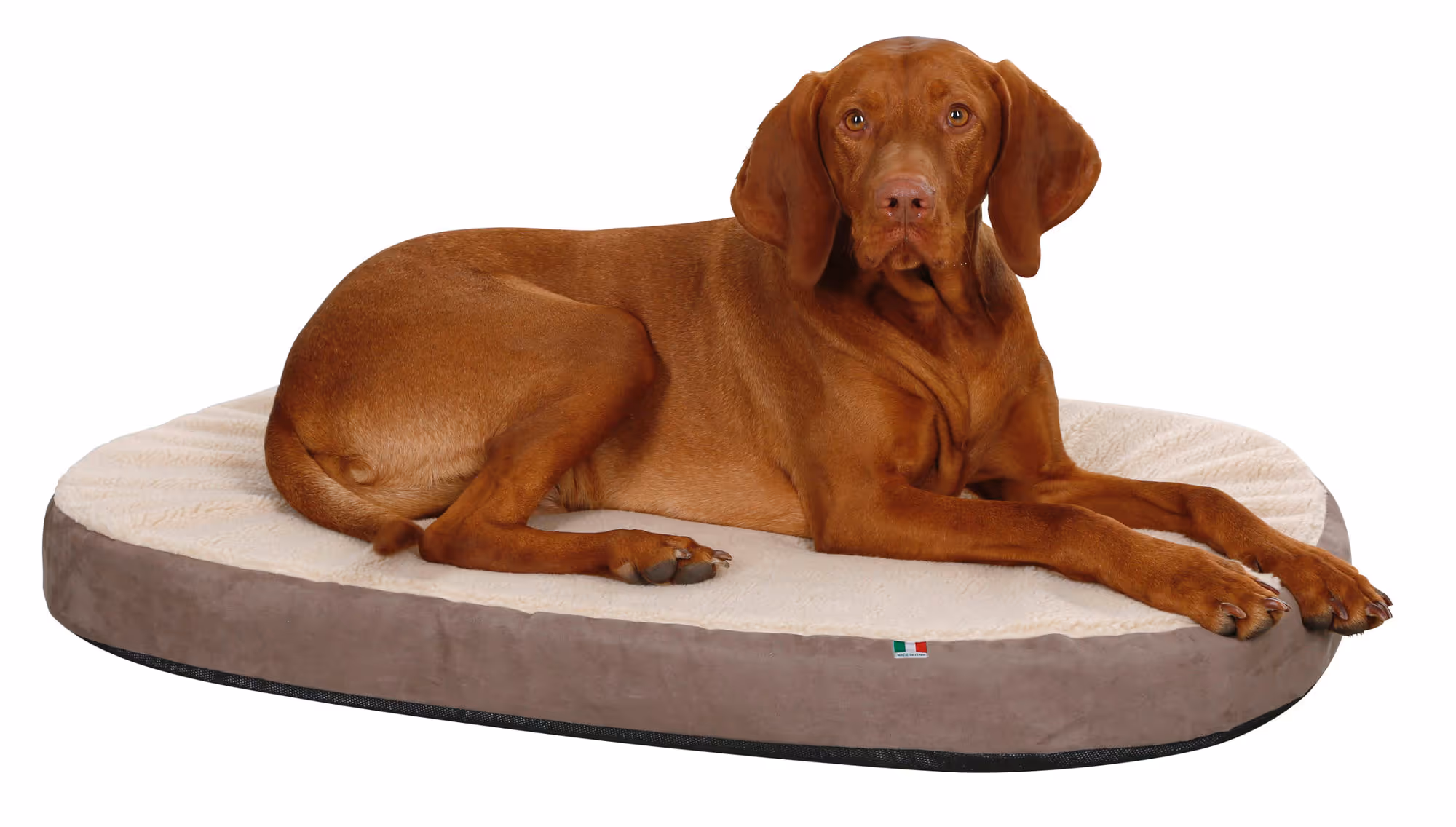 Matelas Memory-Foam taupe/beige, 120X72cm