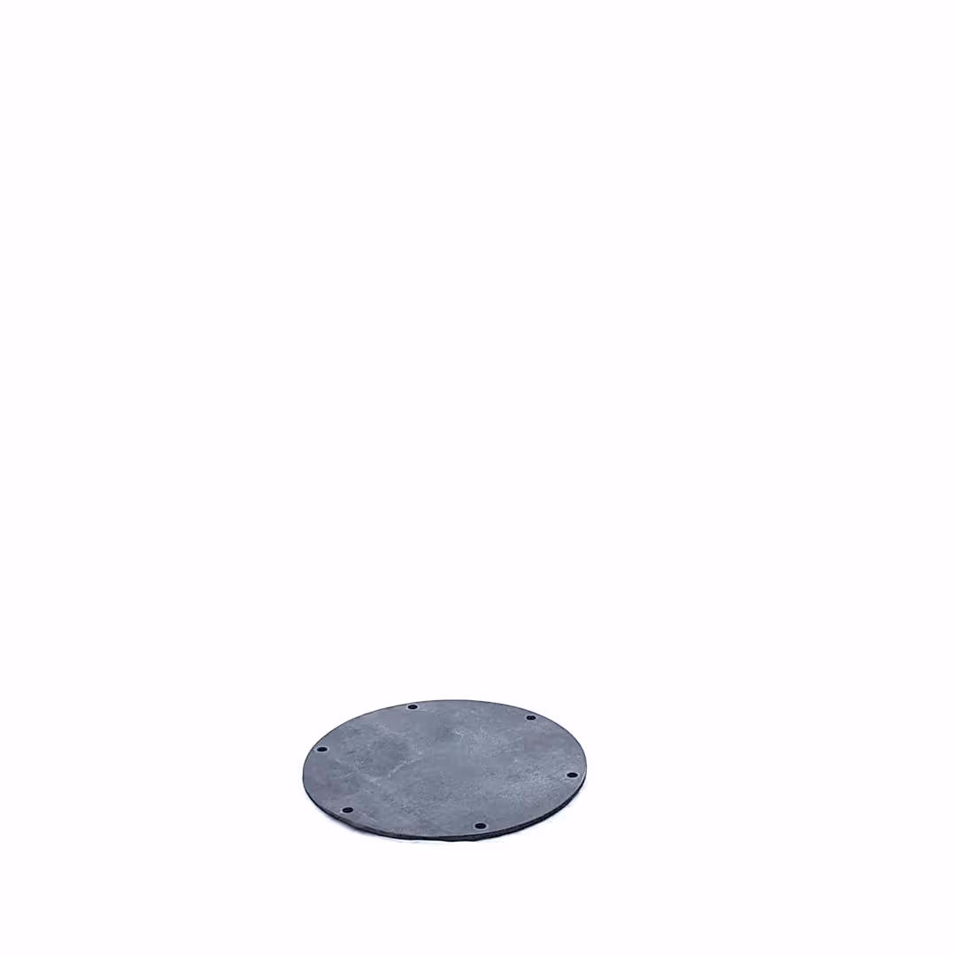 Membrane Guardian 2