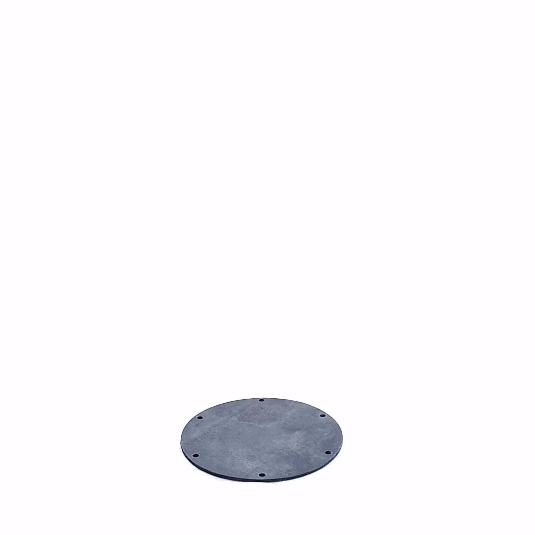 Membrane Guardian 2