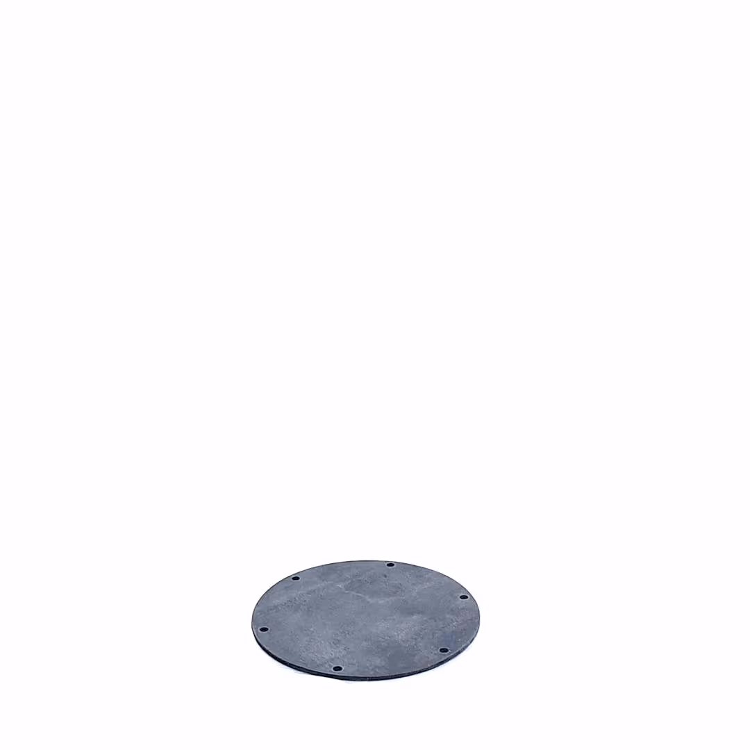 Membrane Guardian 2