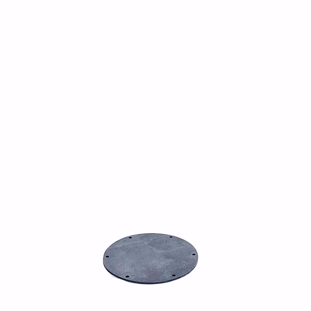 Membrane Guardian 2
