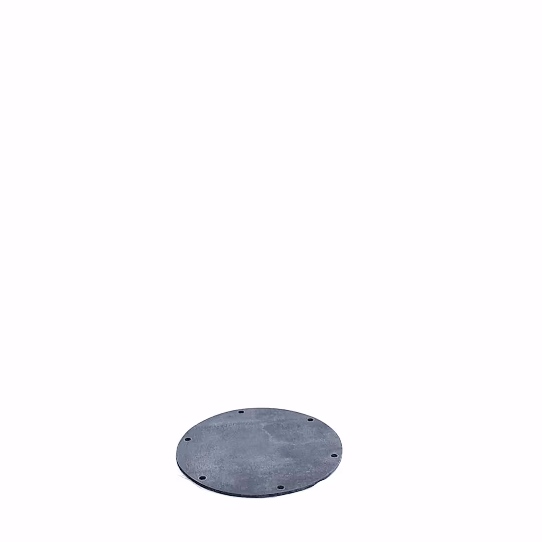 Membrane Guardian 2