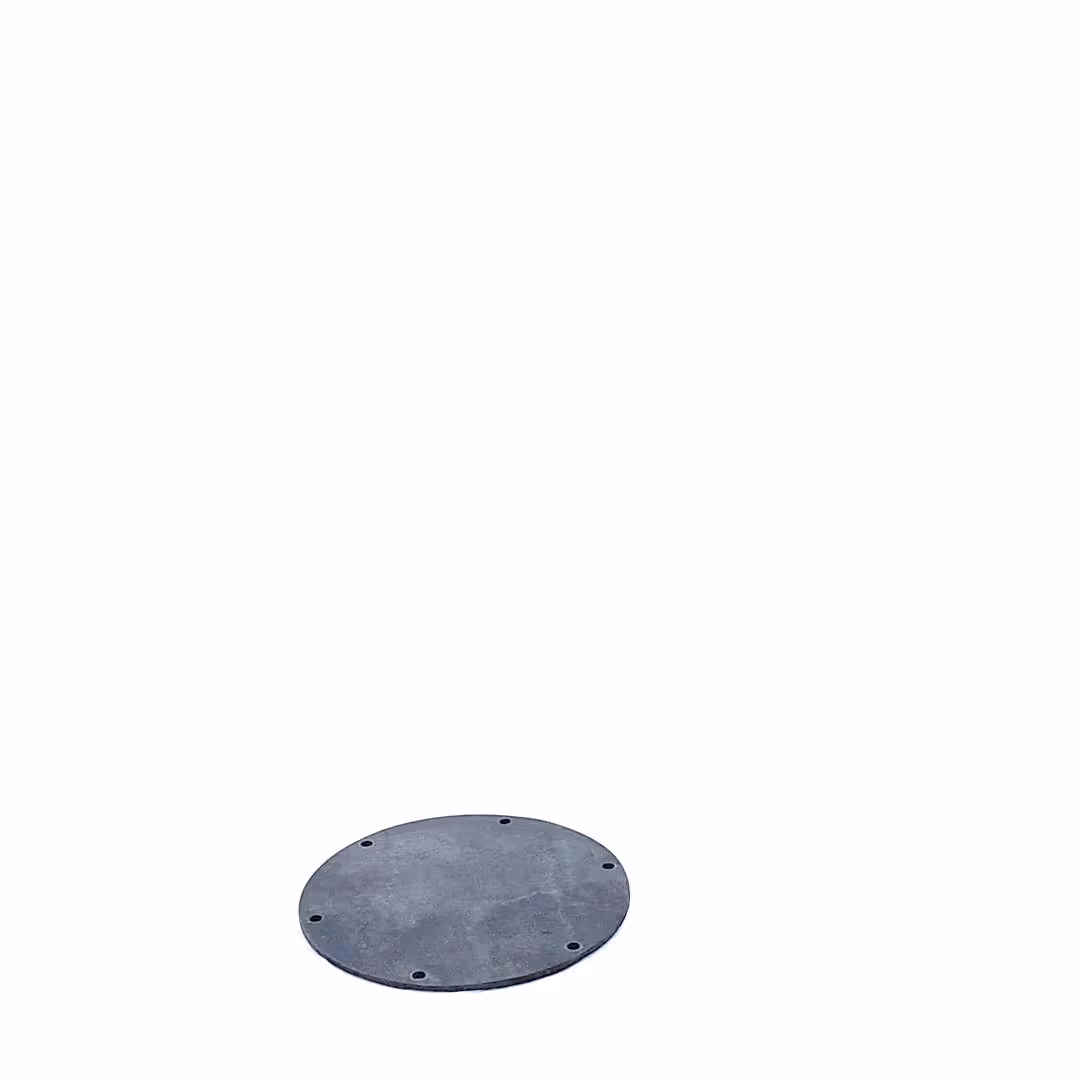 Membrane Guardian 2
