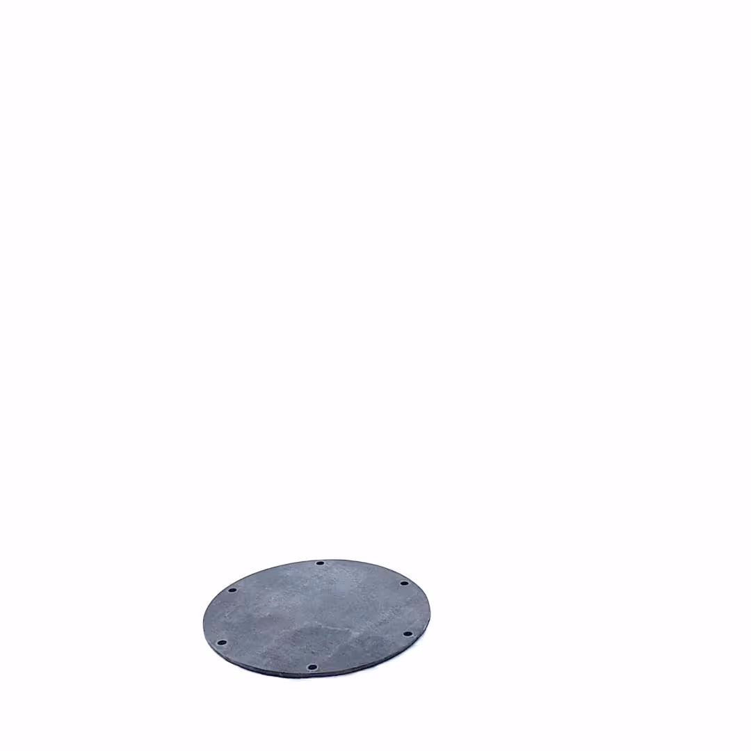 Membrane Guardian 2