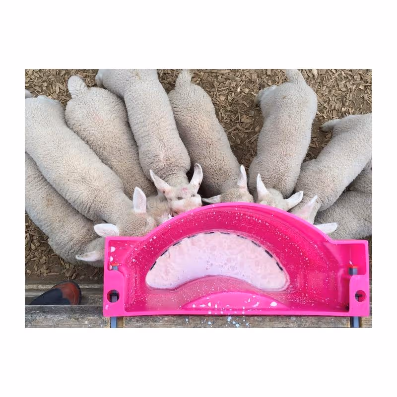 Milk Bar® Nourrisseur 9 tétines noires agneau/chevreau Ad Lib 15L