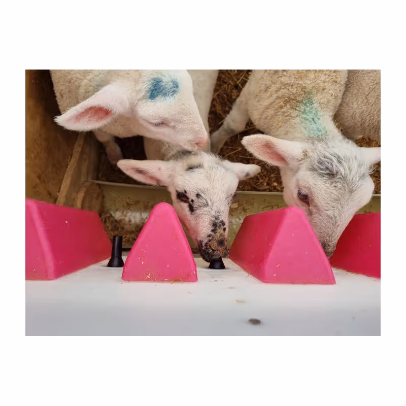Milk Bar® Teat Separator 3 tétines pour agneau