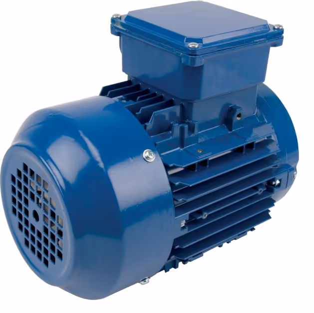 Moteur électrique 0,75 kW (3000 tr/min)