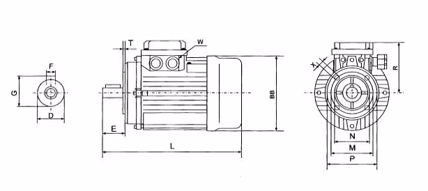Moteur électrique 0,75 kW (3000 tr/min)