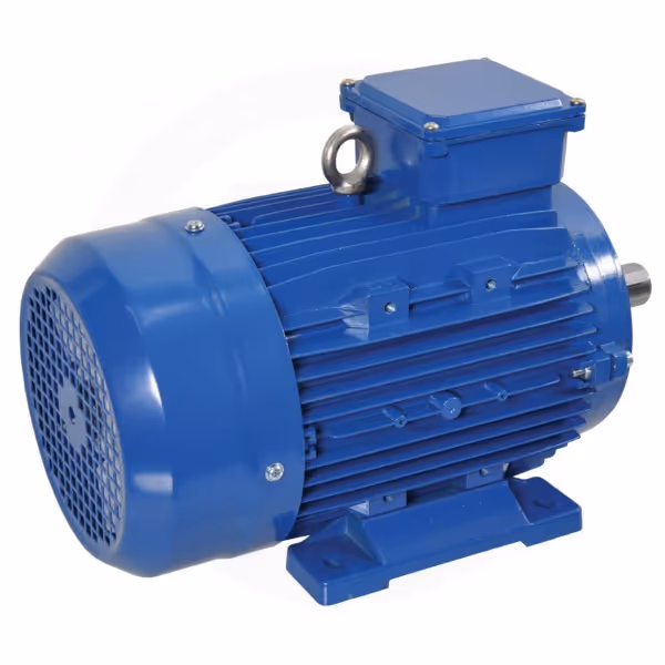 Moteur électrique 0,75 kW