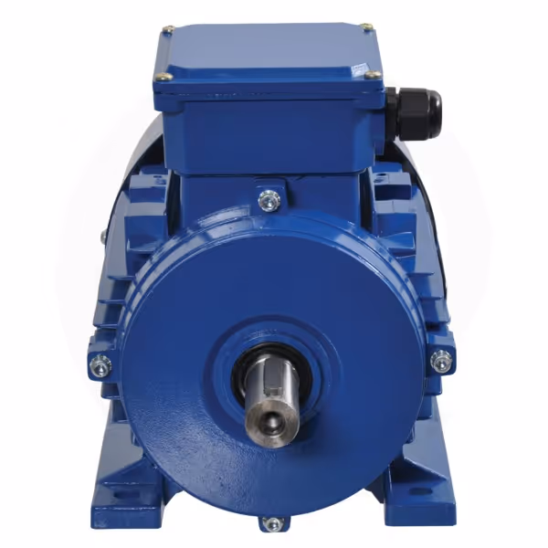 Moteur électrique 1,5 kW