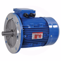 Moteur électrique 1,5 kW
