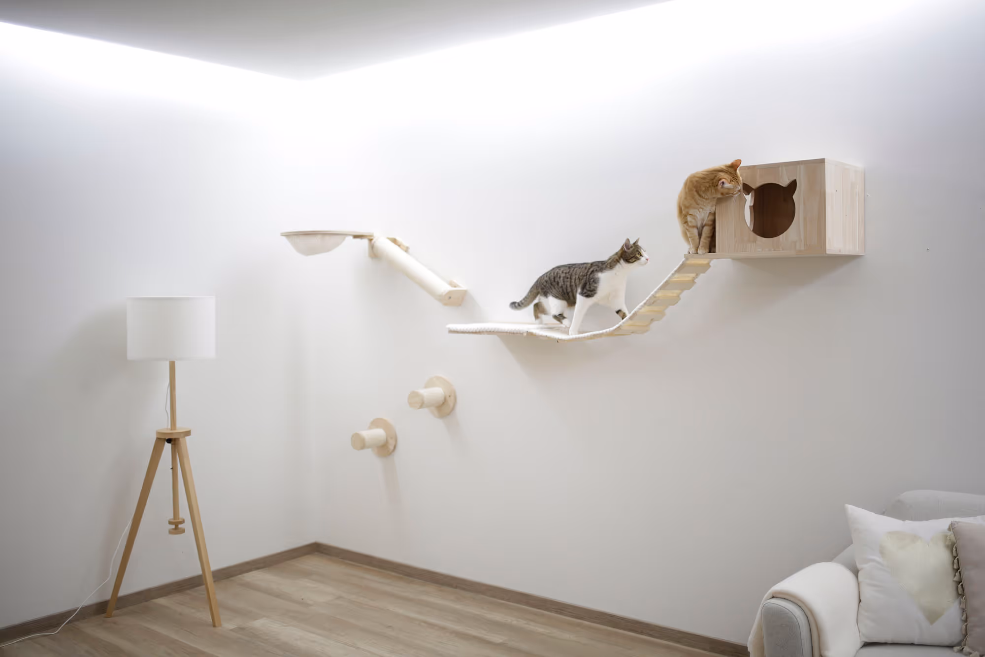 Mur d'escalade Anden 8pcs