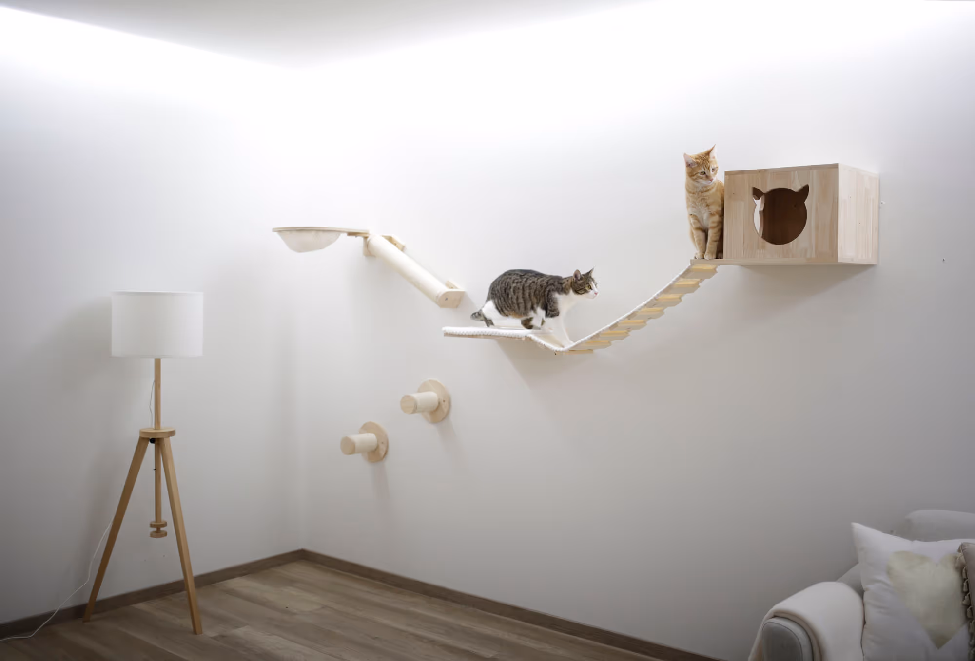 Mur d'escalade Anden 8pcs