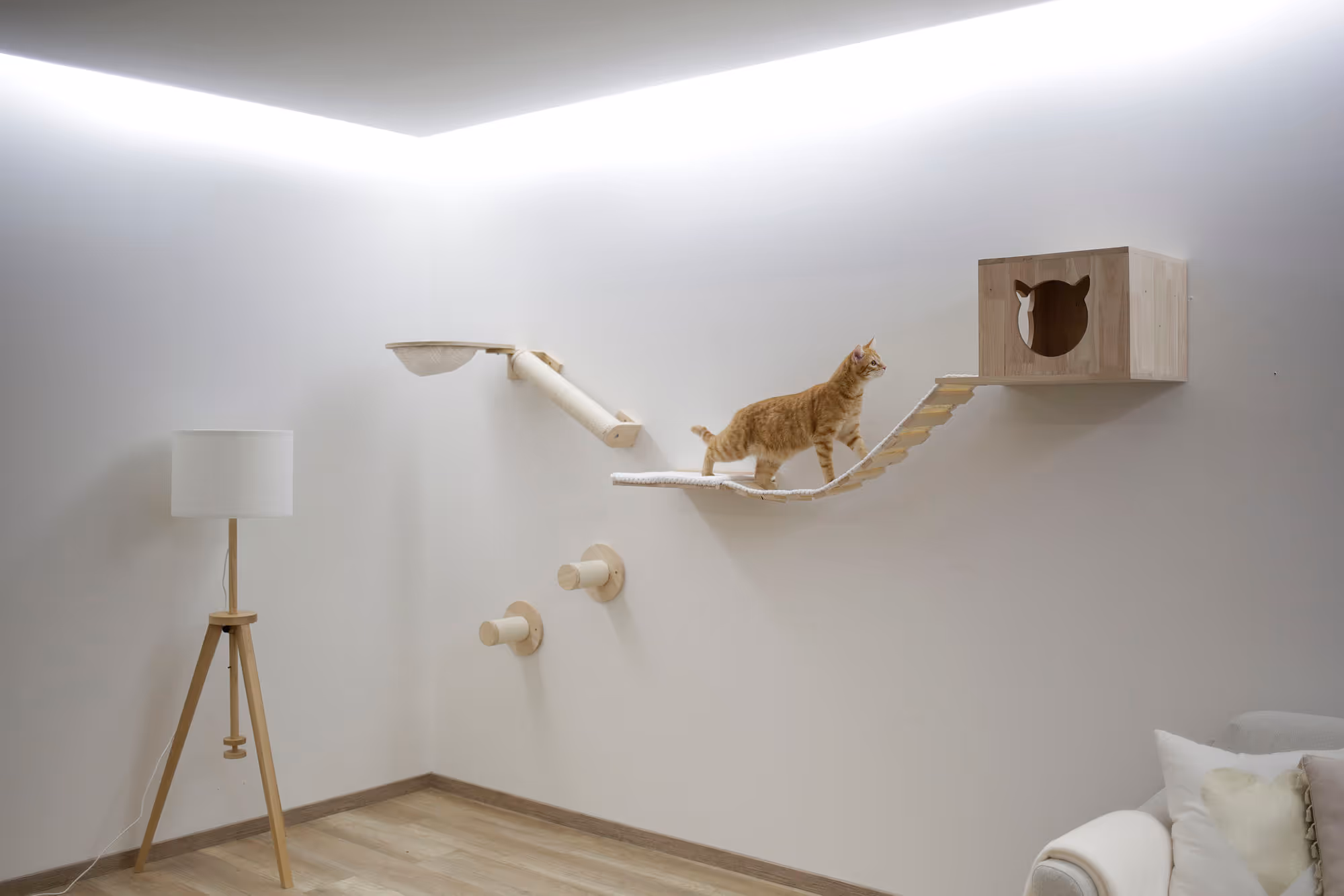 Mur d'escalade Anden 8pcs
