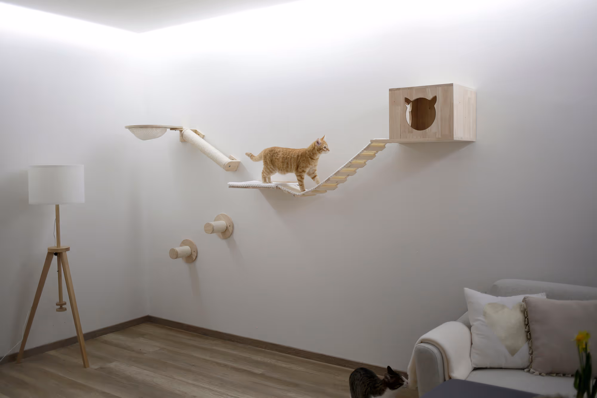 Mur d'escalade Anden 8pcs