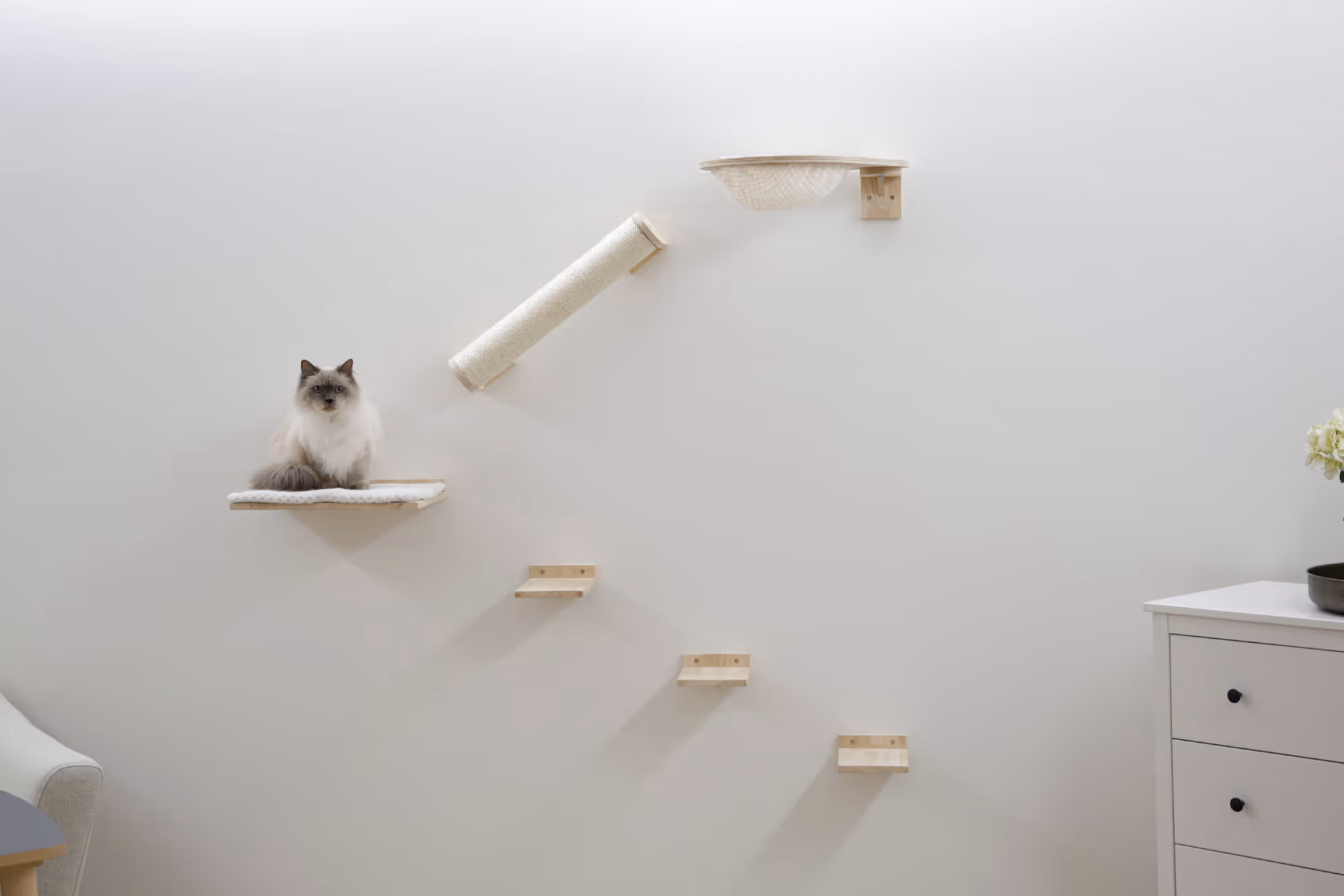 Mur d'escalade Rocky 6pcs