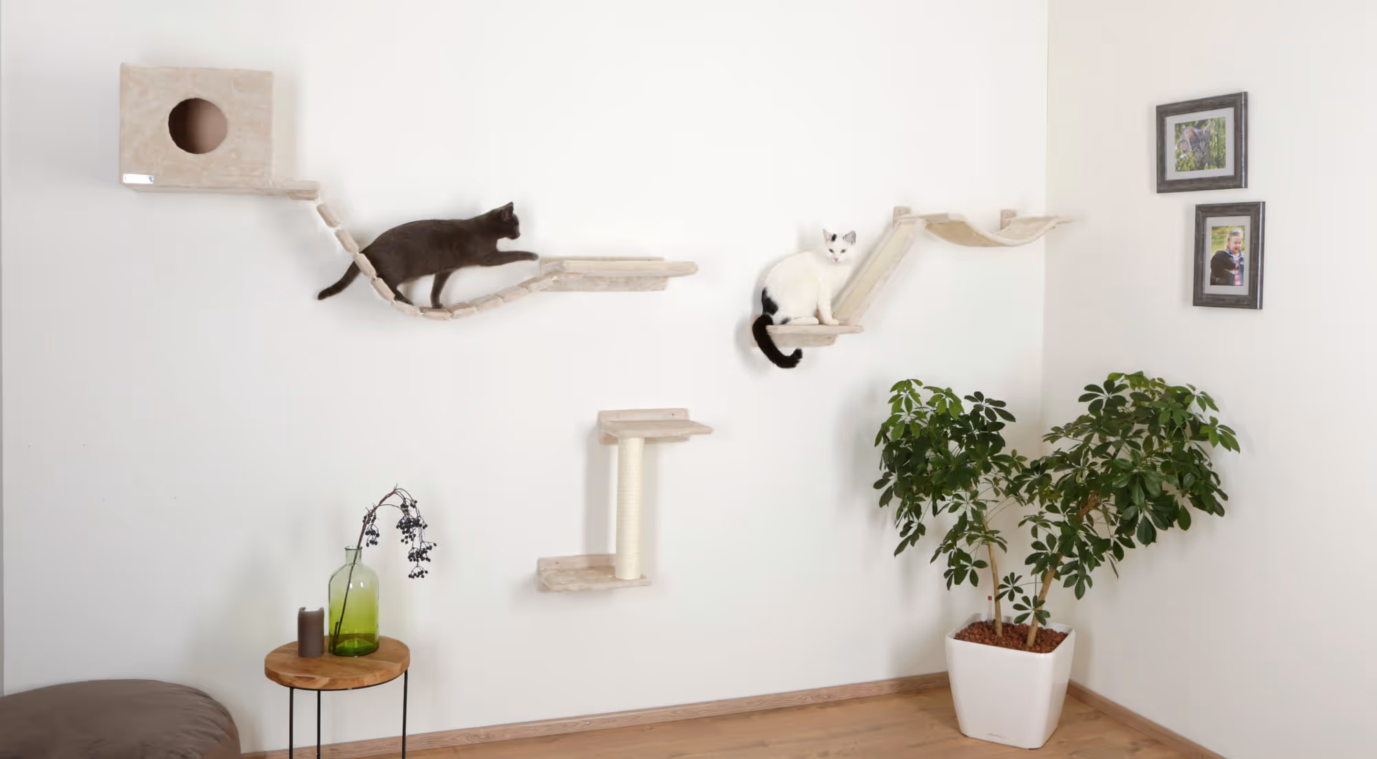 Mur d'esclade Mount Everest 9pcs
