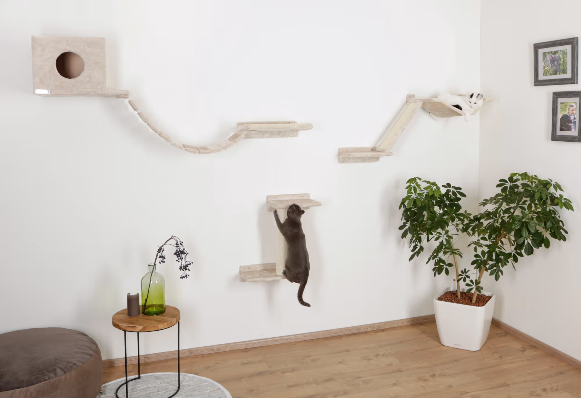 Mur d'esclade Mount Everest 9pcs