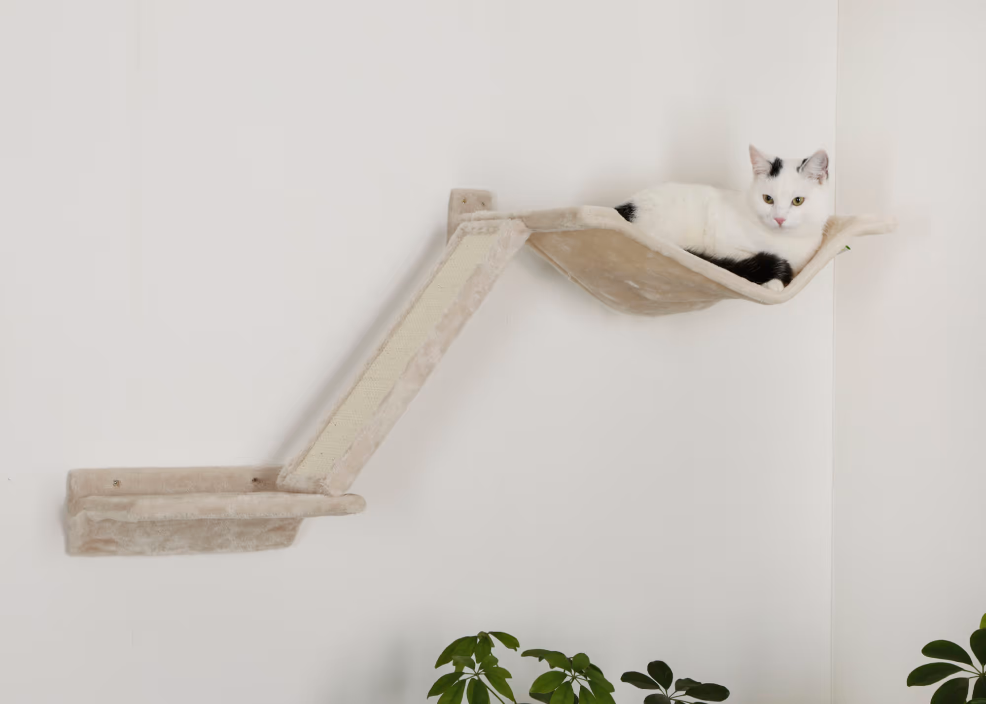 Mur d'esclade Mount Everest 9pcs