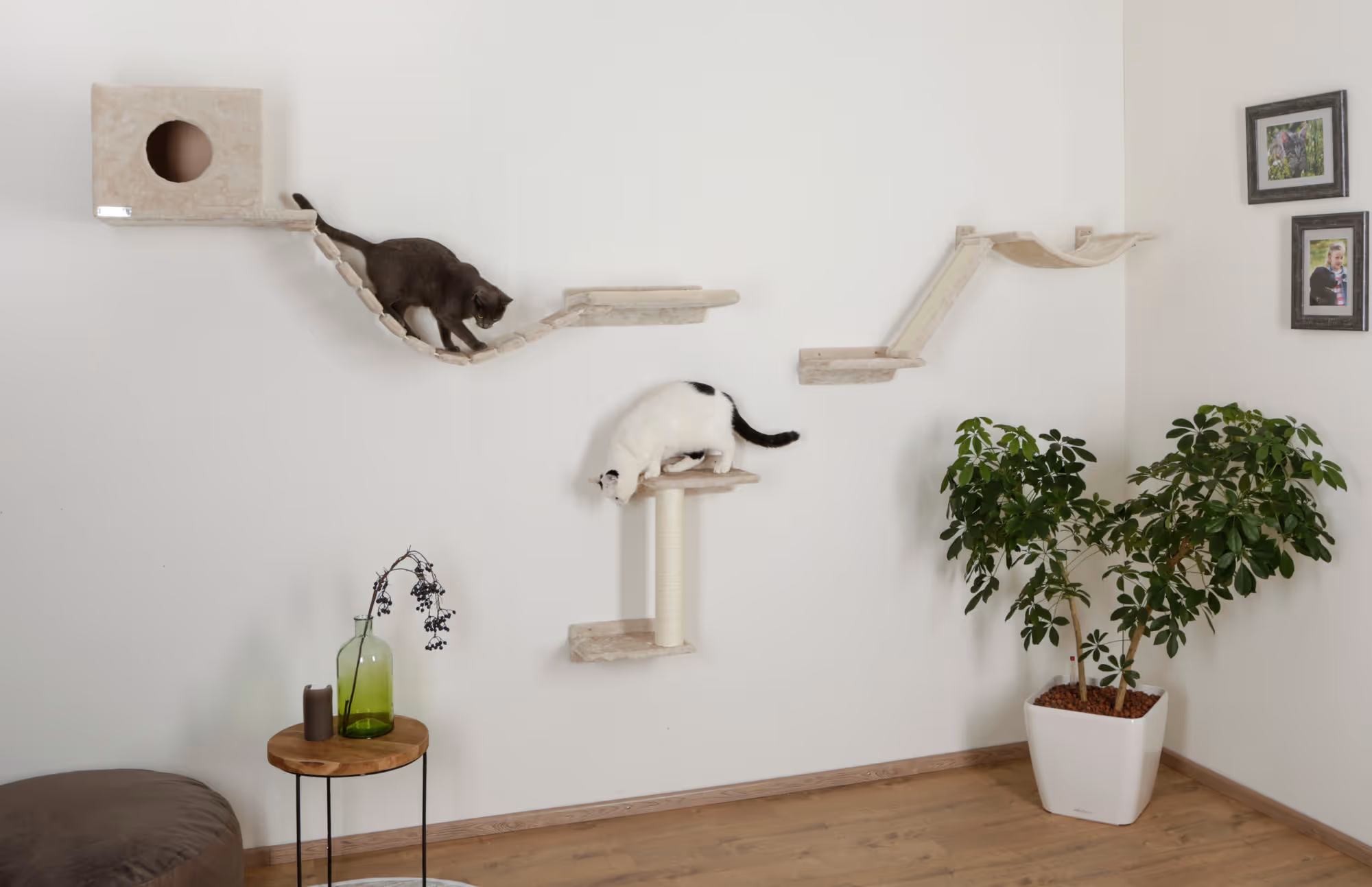 Mur d'esclade Mount Everest 9pcs