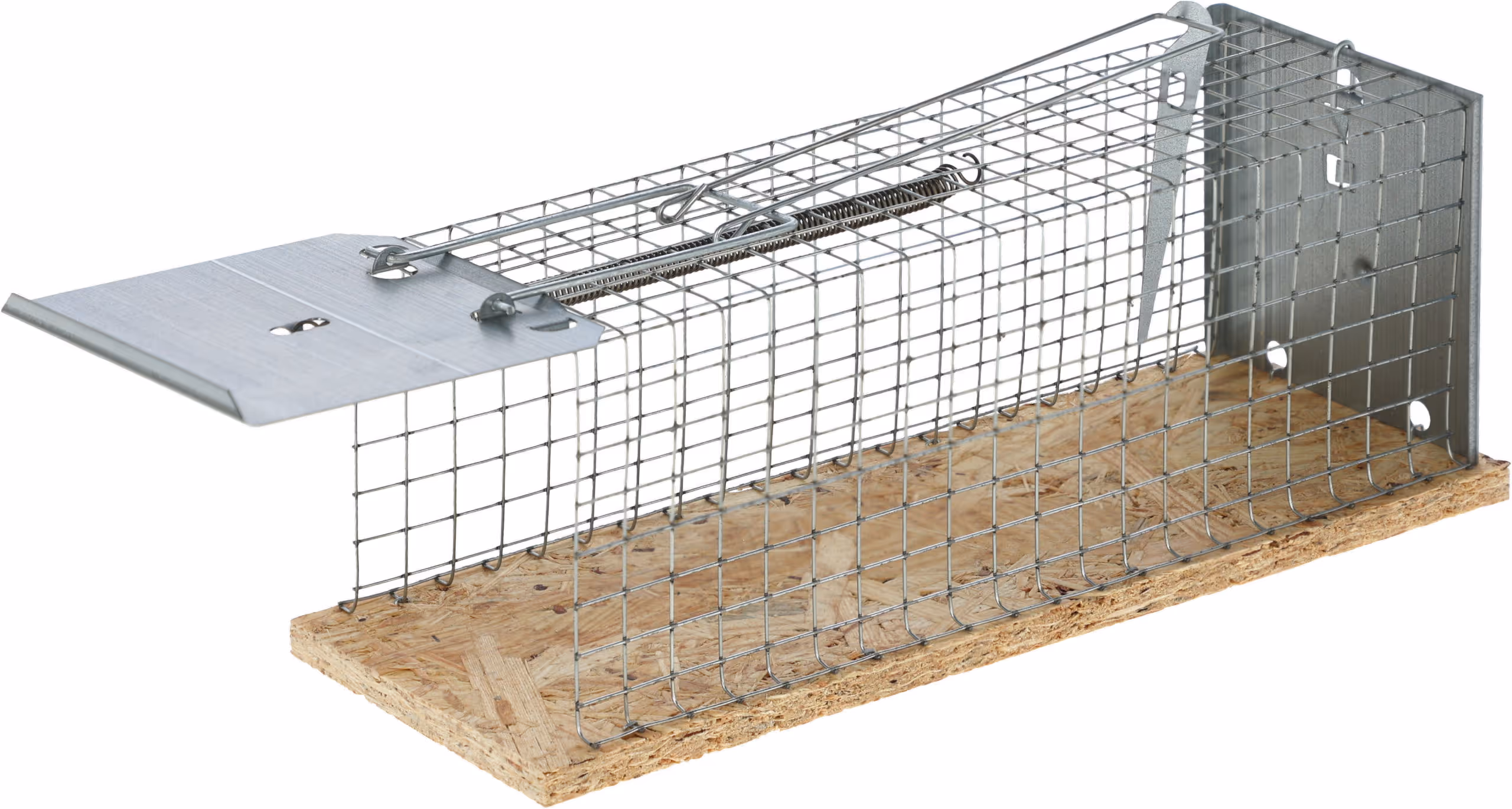 Nasse à rats Alive ratCage
