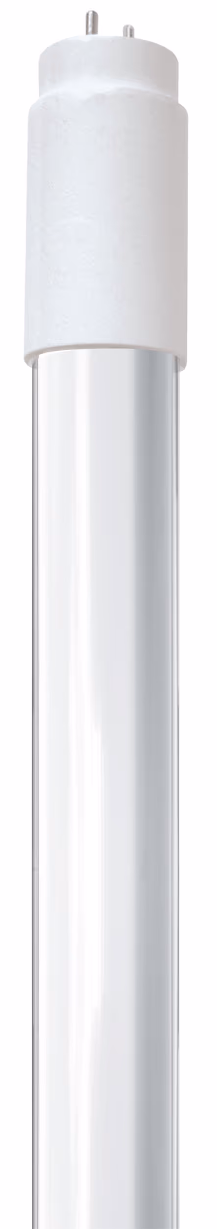 Néon LED 1200mm - 18w