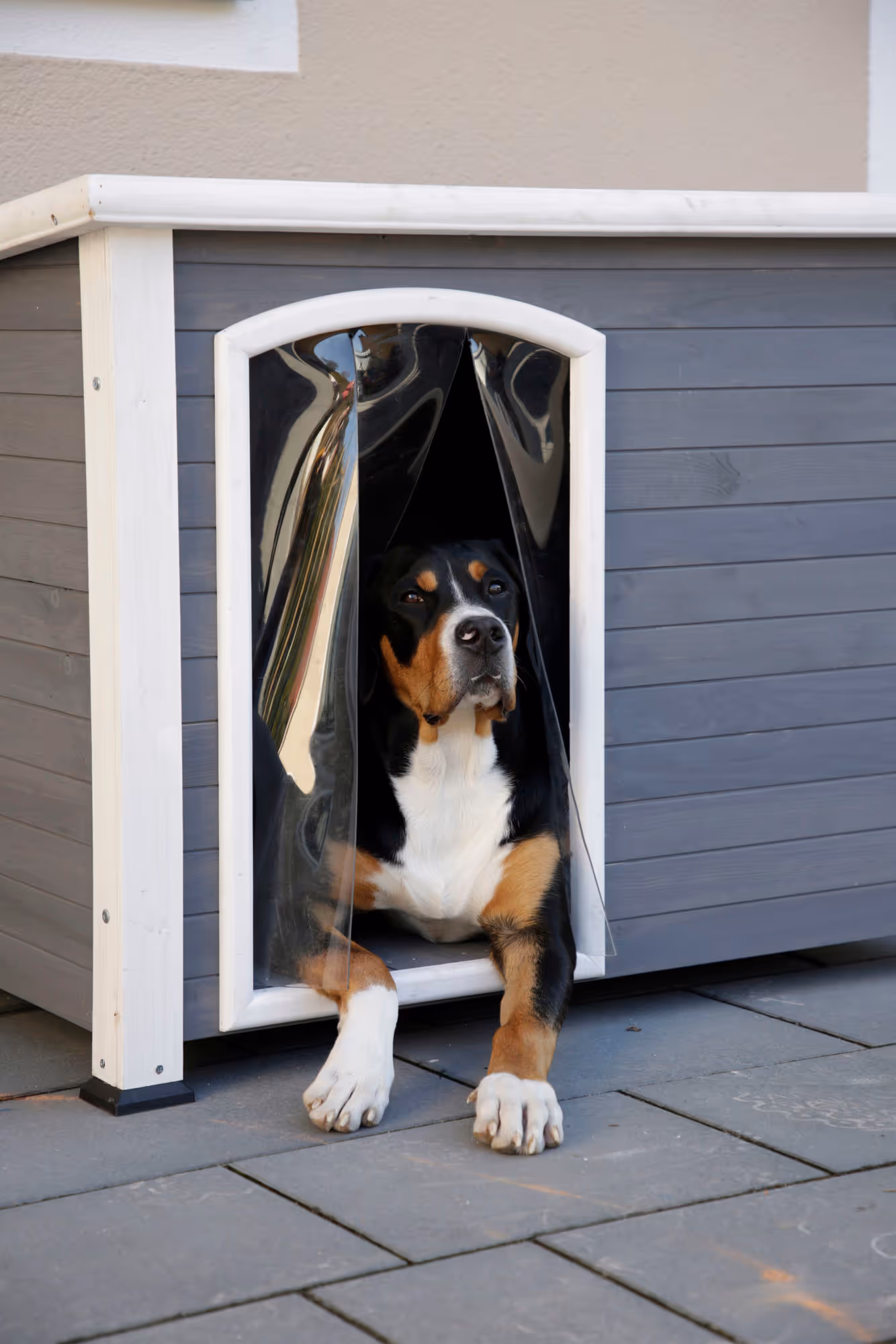 Niche pour chien Kenny 113X77X81 cm