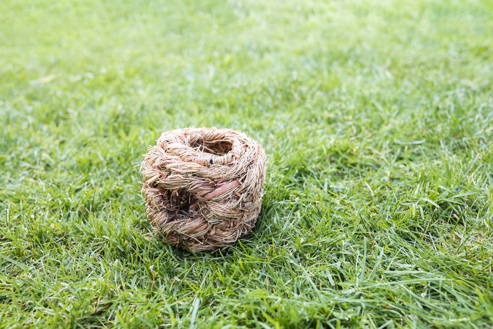 Nichoir en herbe pour rongeur 10,5X10,5X10,5cm