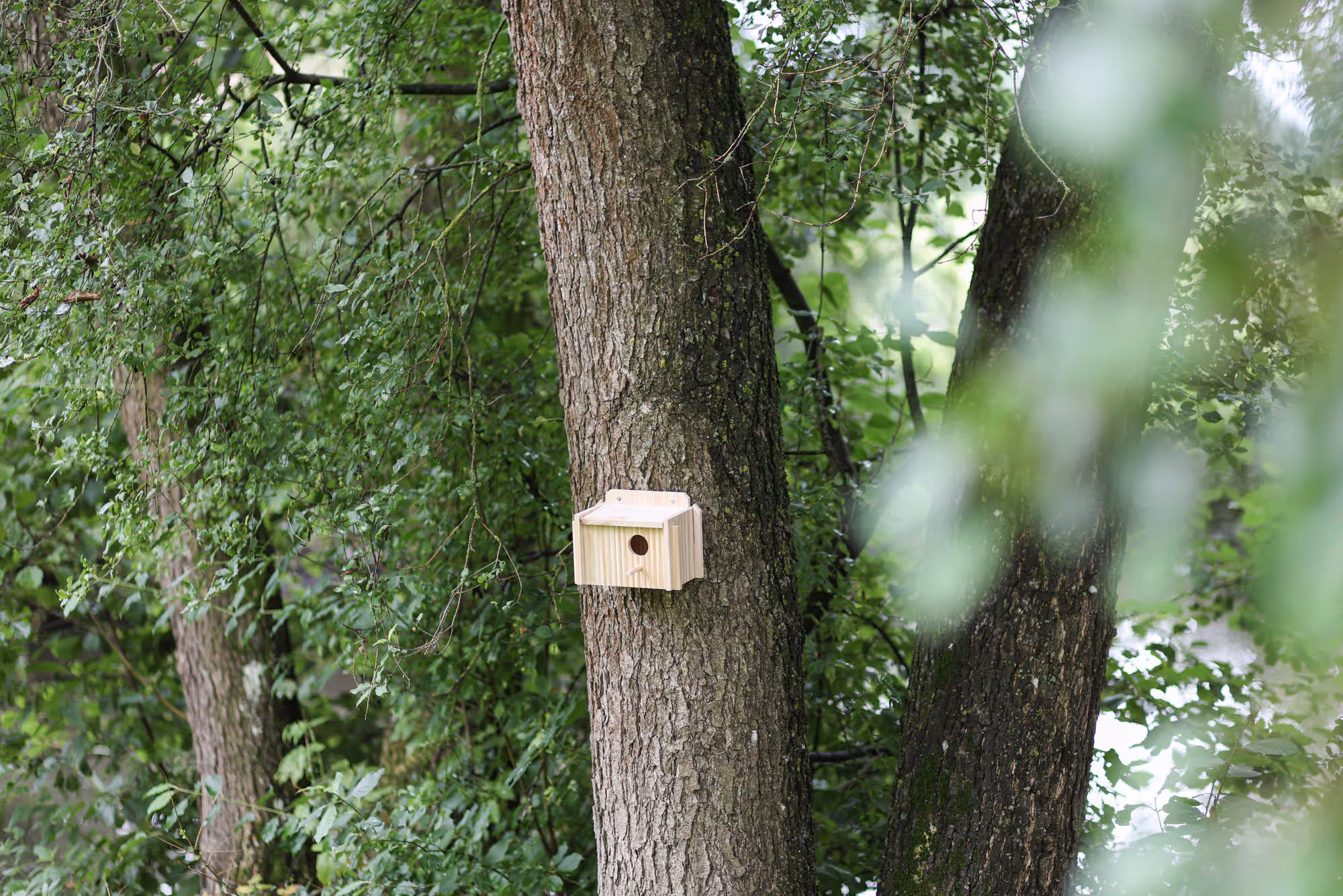 Nichoir pour perruches bois, 21X13X13cm