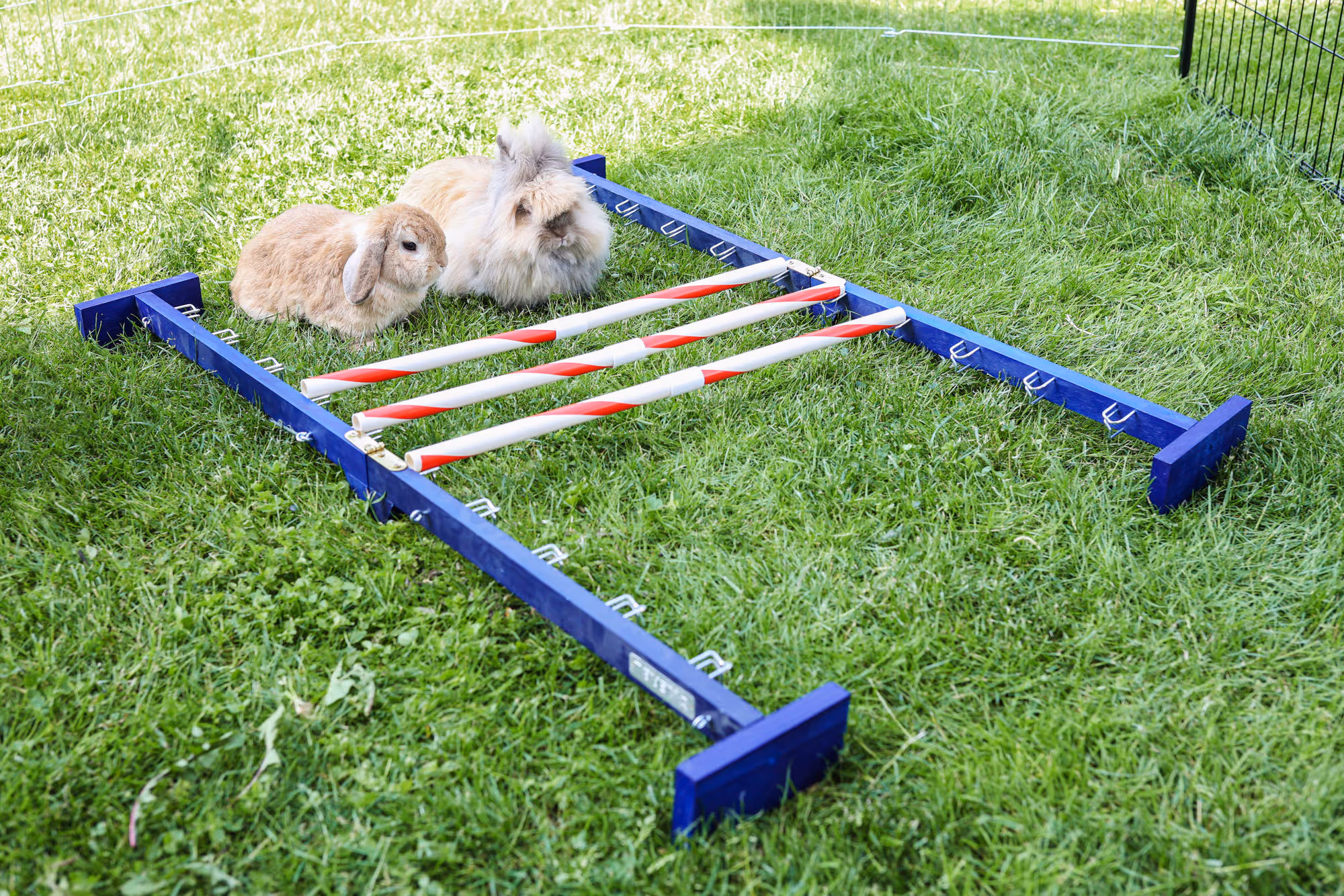 Obstacle combiné Agility rongeur, 7-92x62cm, H.max.49cm