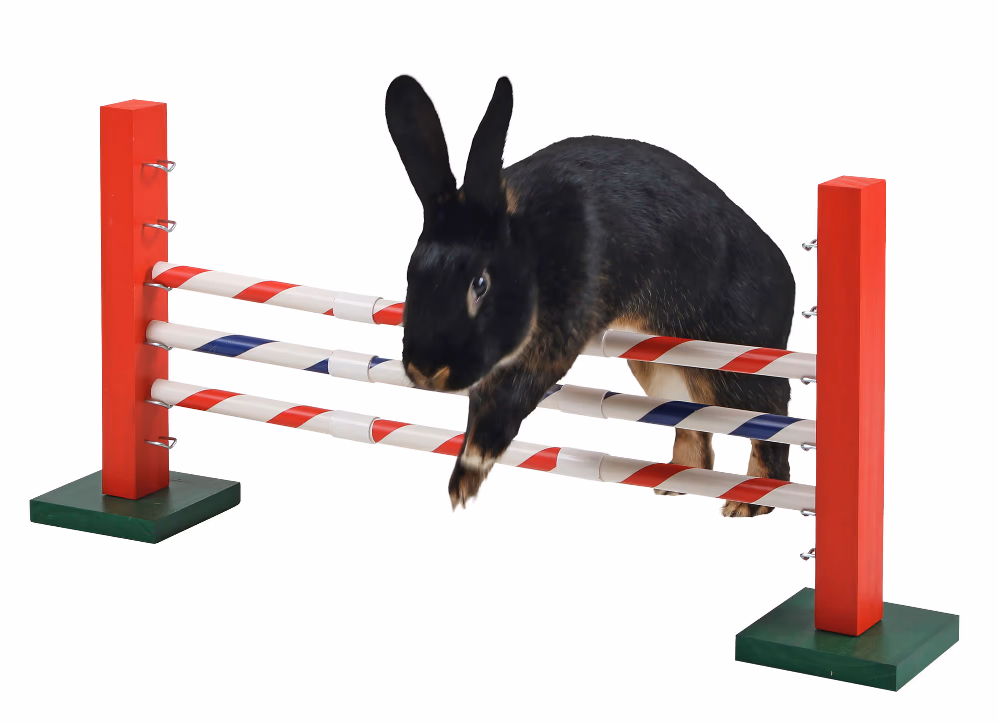 Obstacle en hauteur Agility rongeur, 70X5X35cm