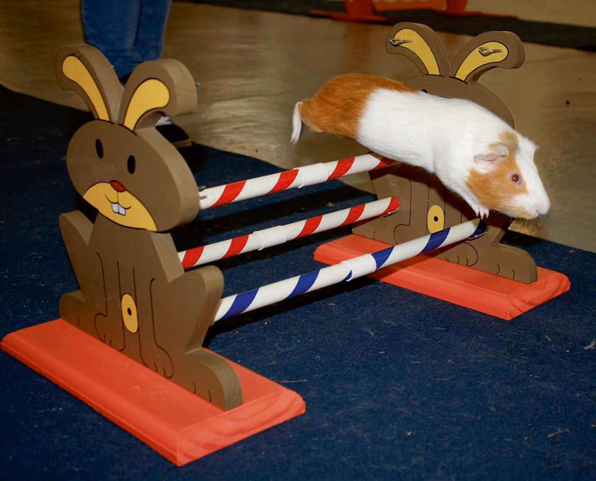 Obstacle pour rongeur Agility 62X33X34cm