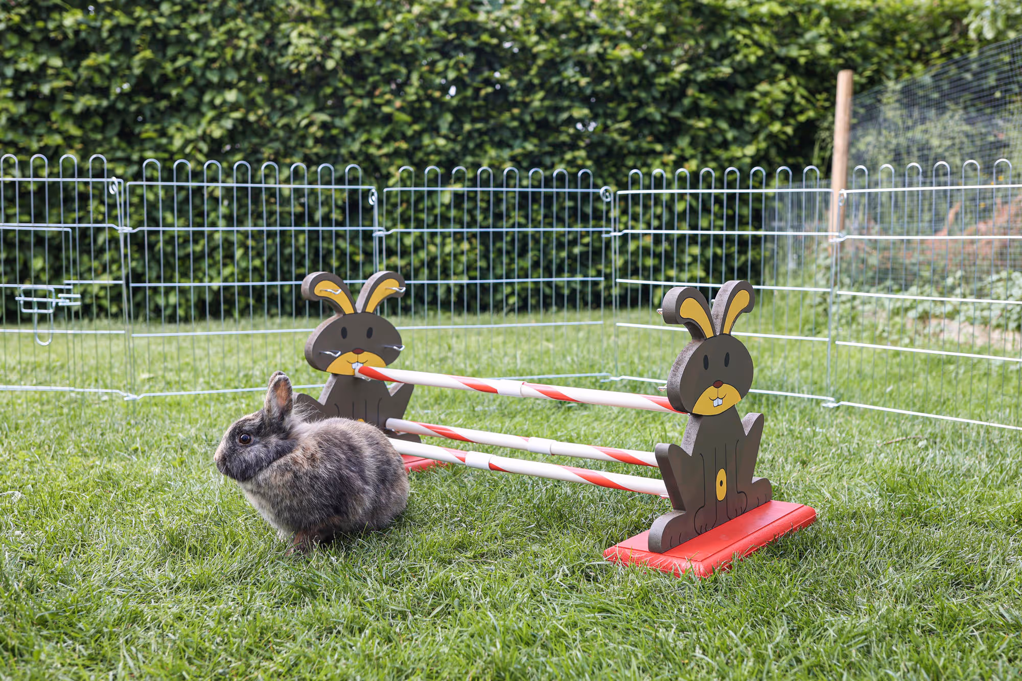 Obstacle pour rongeur Agility 62X33X34cm