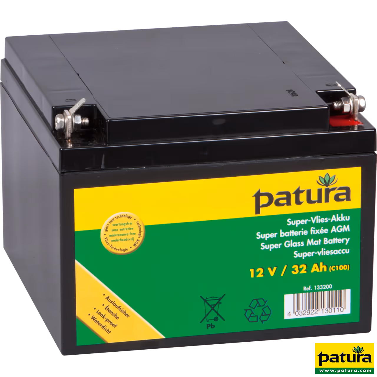 P1500 avec boîtier antivol, piquet de terre, batterie AGM 32 Ah 20 Watt