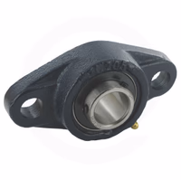 Palier 2 trous à flasque ovale UCFL205