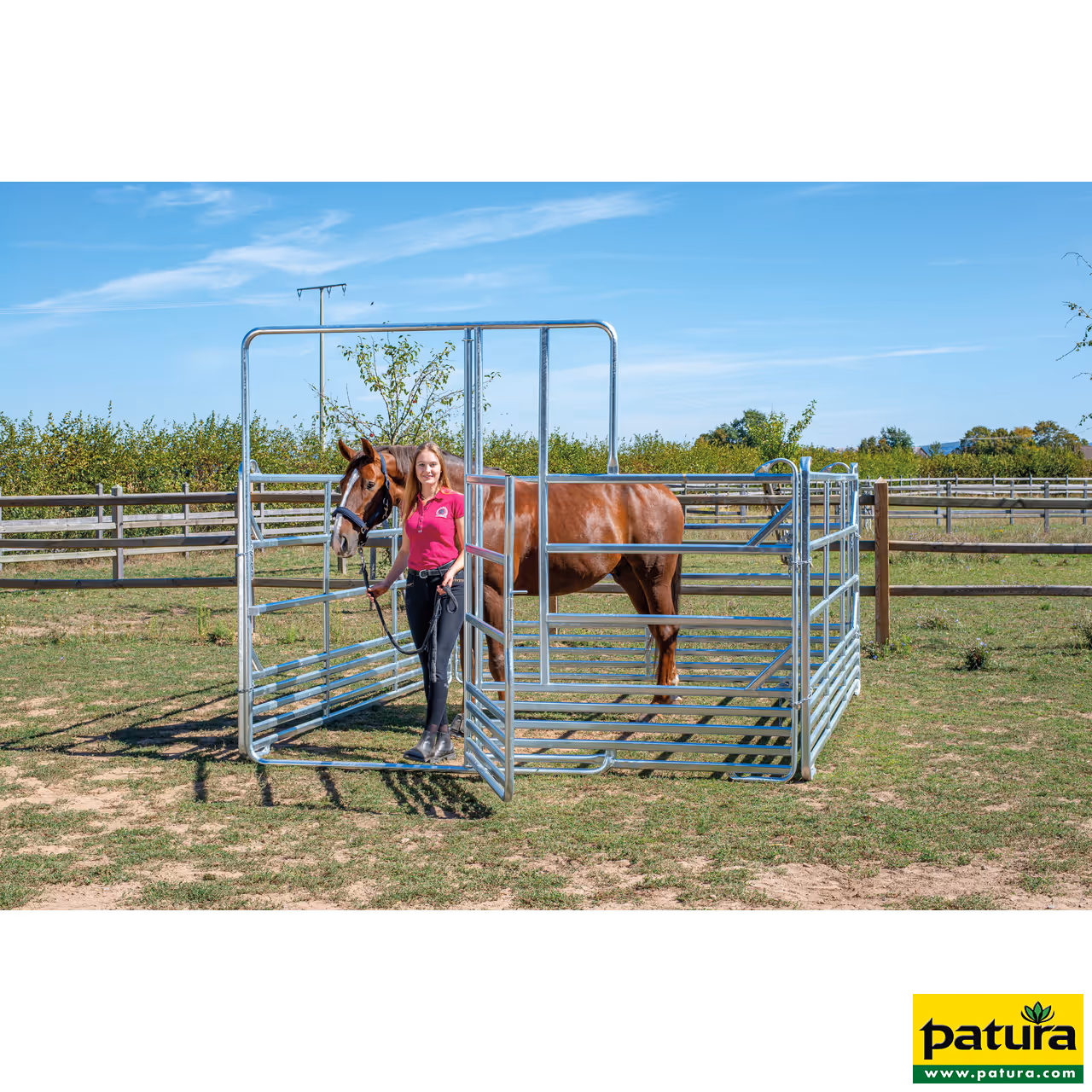 Panel-Sécurité pour chevaux avec porte et passage de tête, 3 m, 1 place
