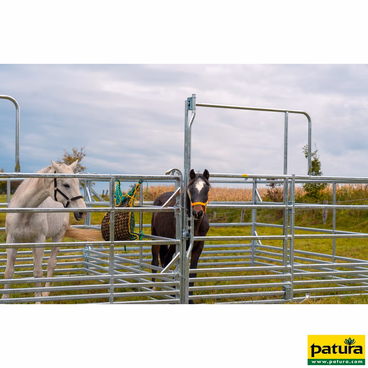 Panel-Sécurité pour cheveaux avec porte coulissante 3,60 m, hauteur 2,50 m (1 entretoise)