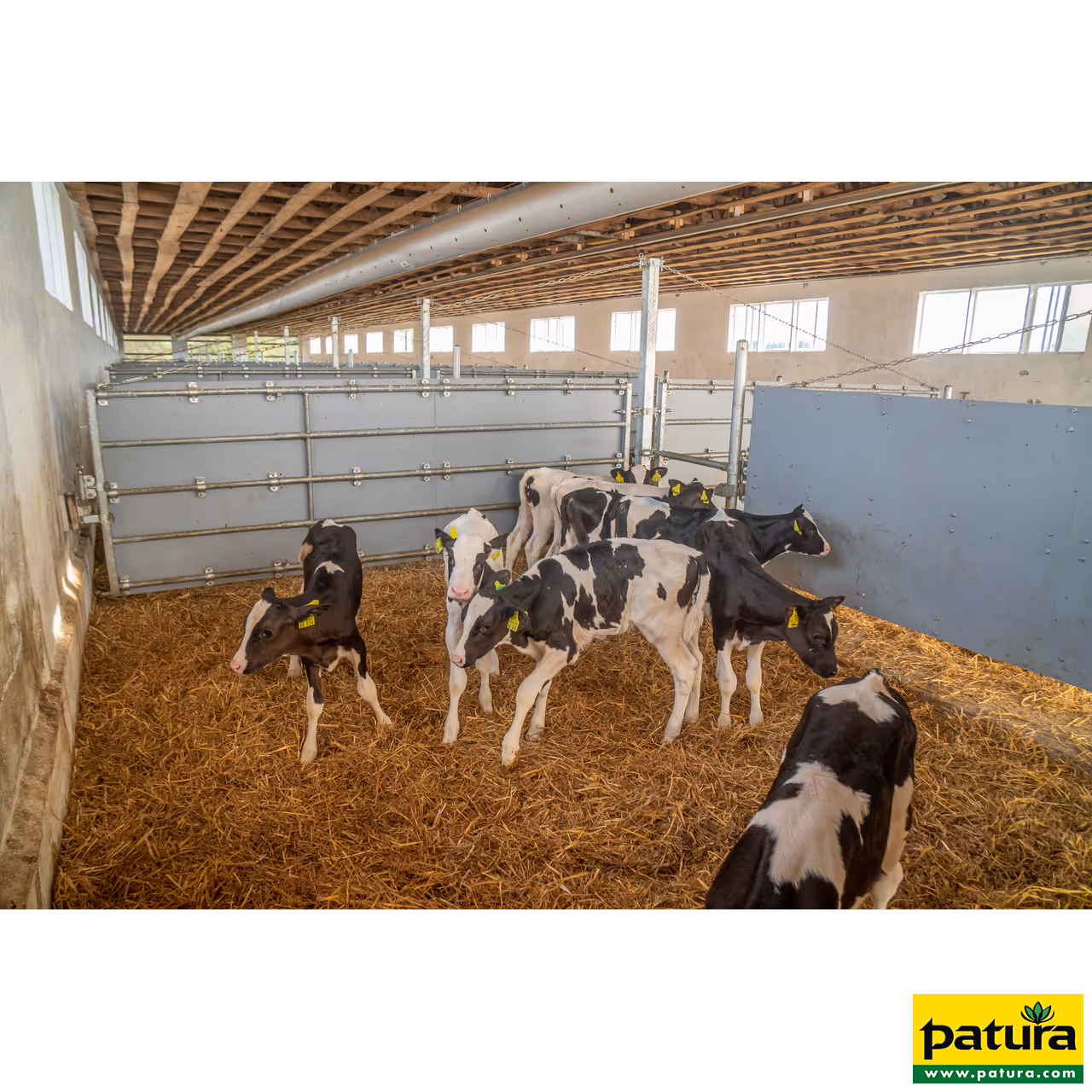 Panneau d'herbage avec paroi (5/6) pour veaux, sans poteaux ni brides