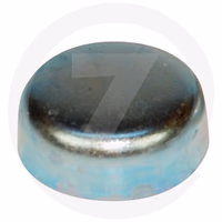 Pastille de sablage 1'' - 25.40 mm (cuvette)