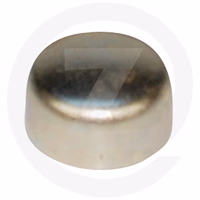 Pastille de sablage 11/16'' - 17.46 mm (cuvette)