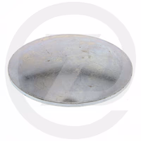 Pastille de sablage acier - 22.00 mm