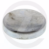 Pastille de sablage acier - 36.50 mm