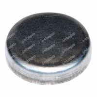 Pastille de sablage inox Ø 38.50 mm